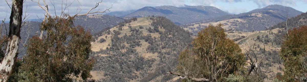Mount tennent summit hike 3