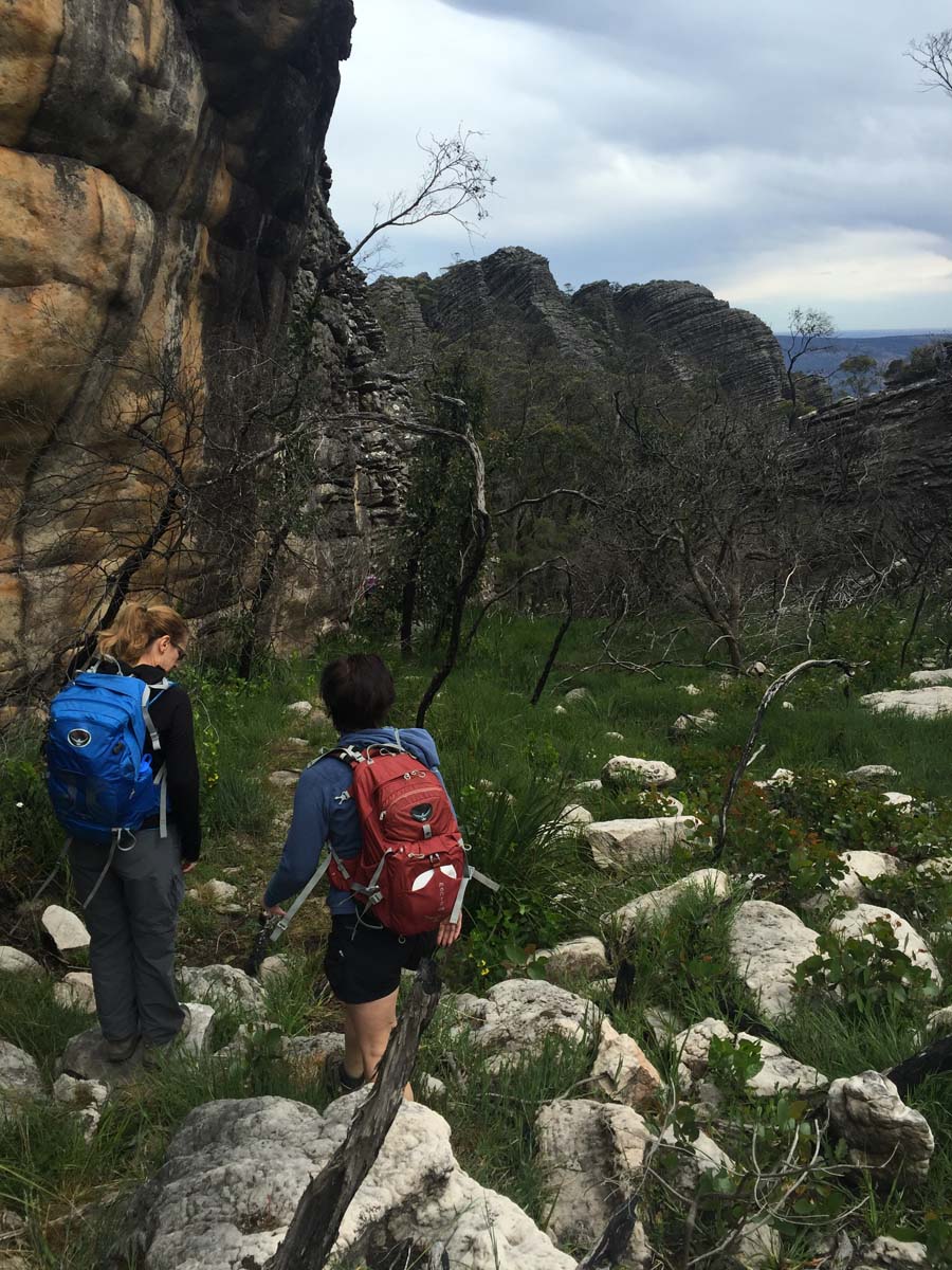 Mount thackeray hike 1