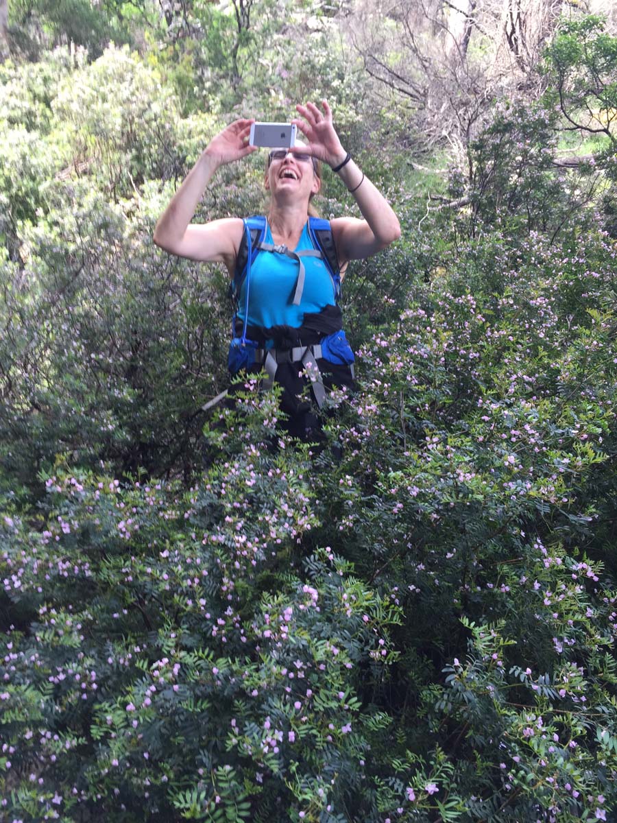 Mount thackeray hike 16