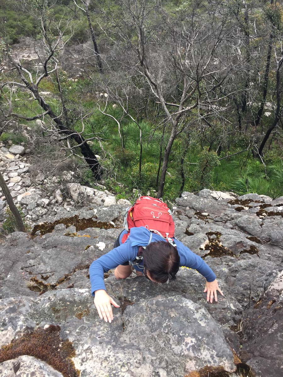 Mount thackeray hike 2