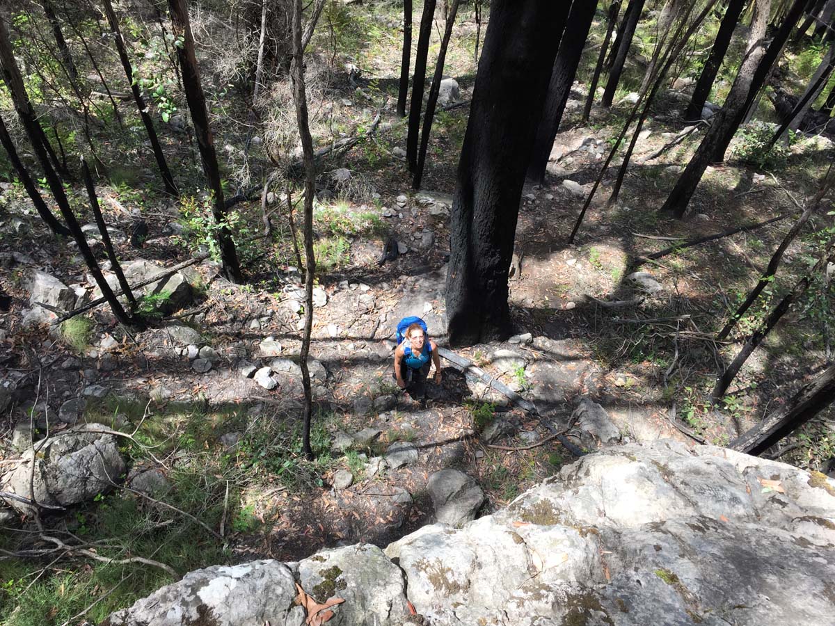 Mount thackeray hike 22