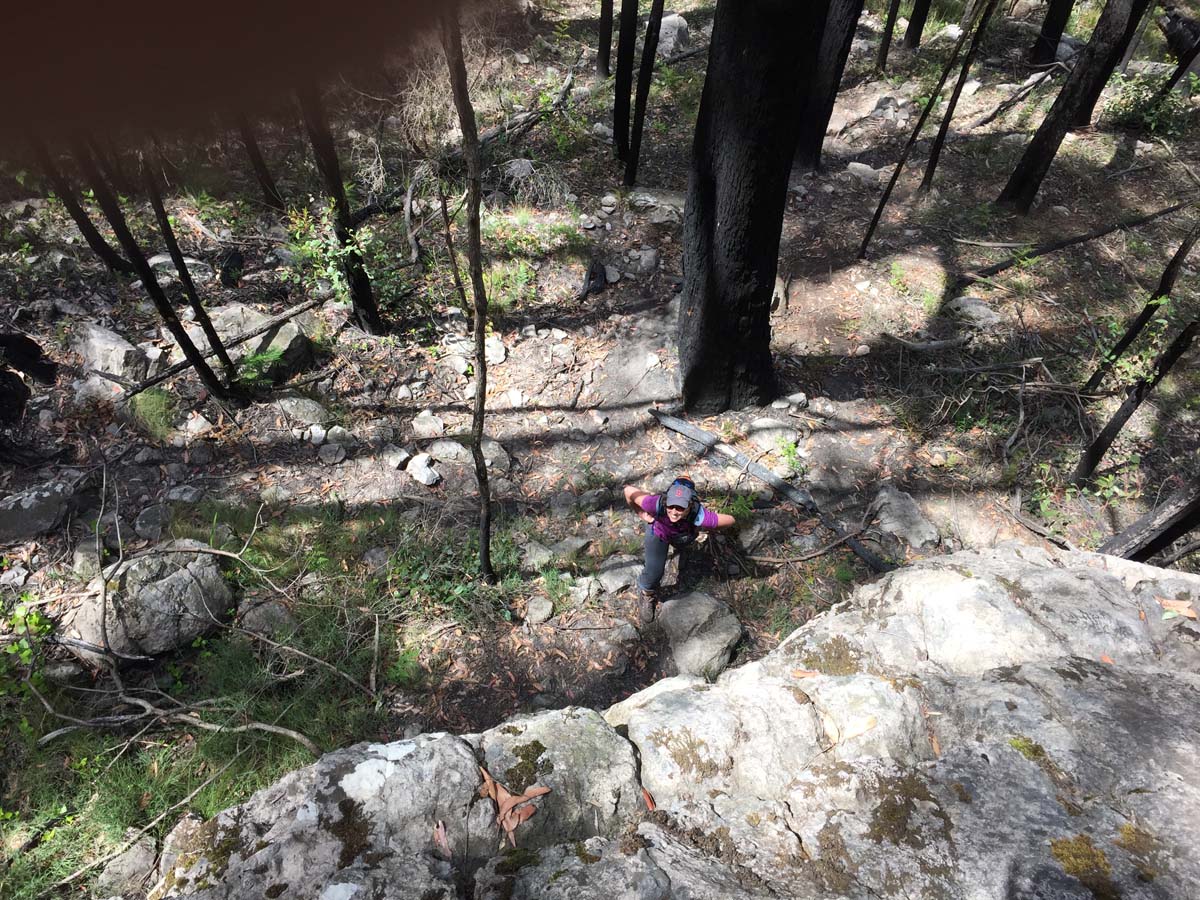 Mount thackeray hike 23