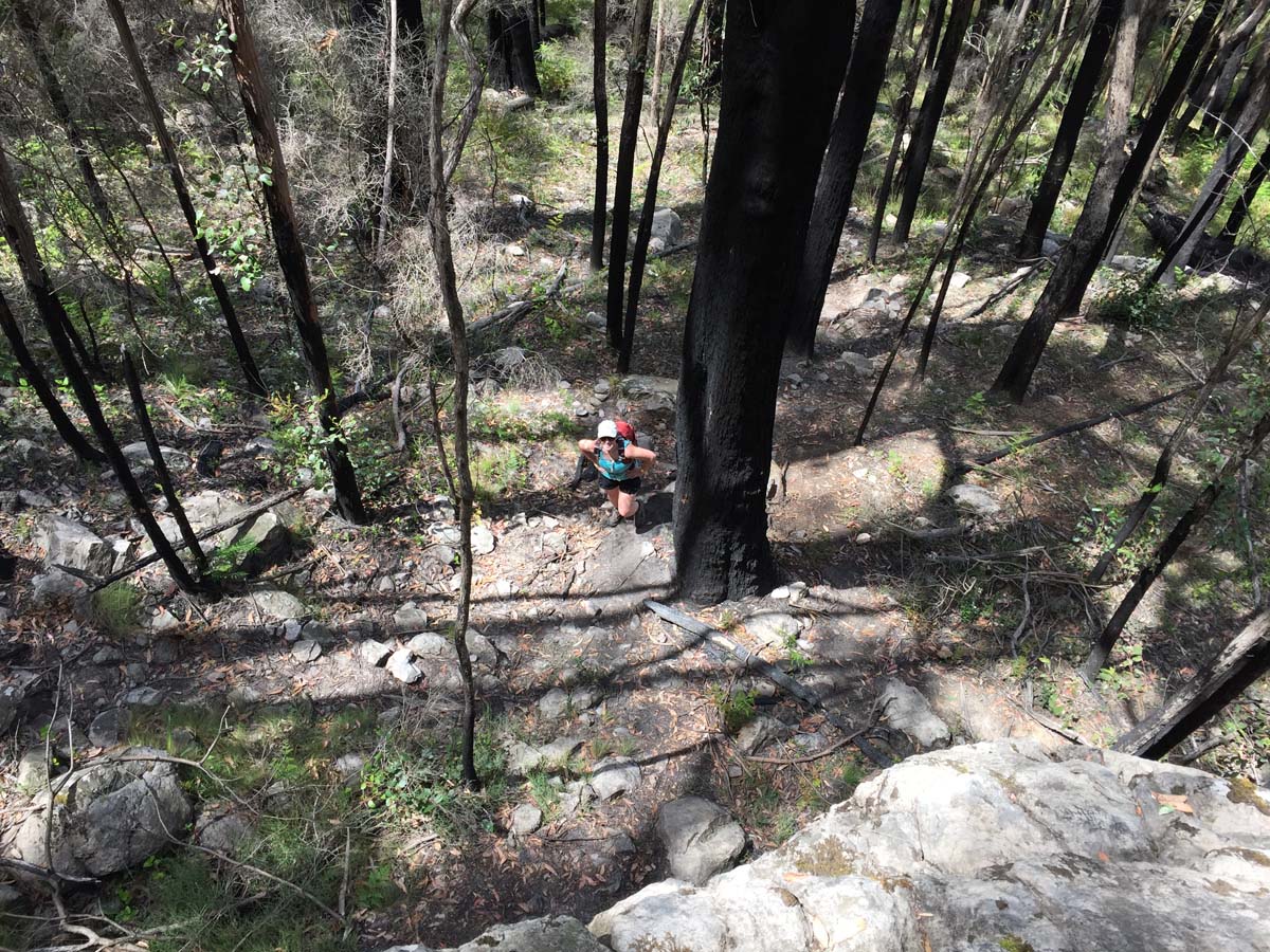 Mount thackeray hike 24