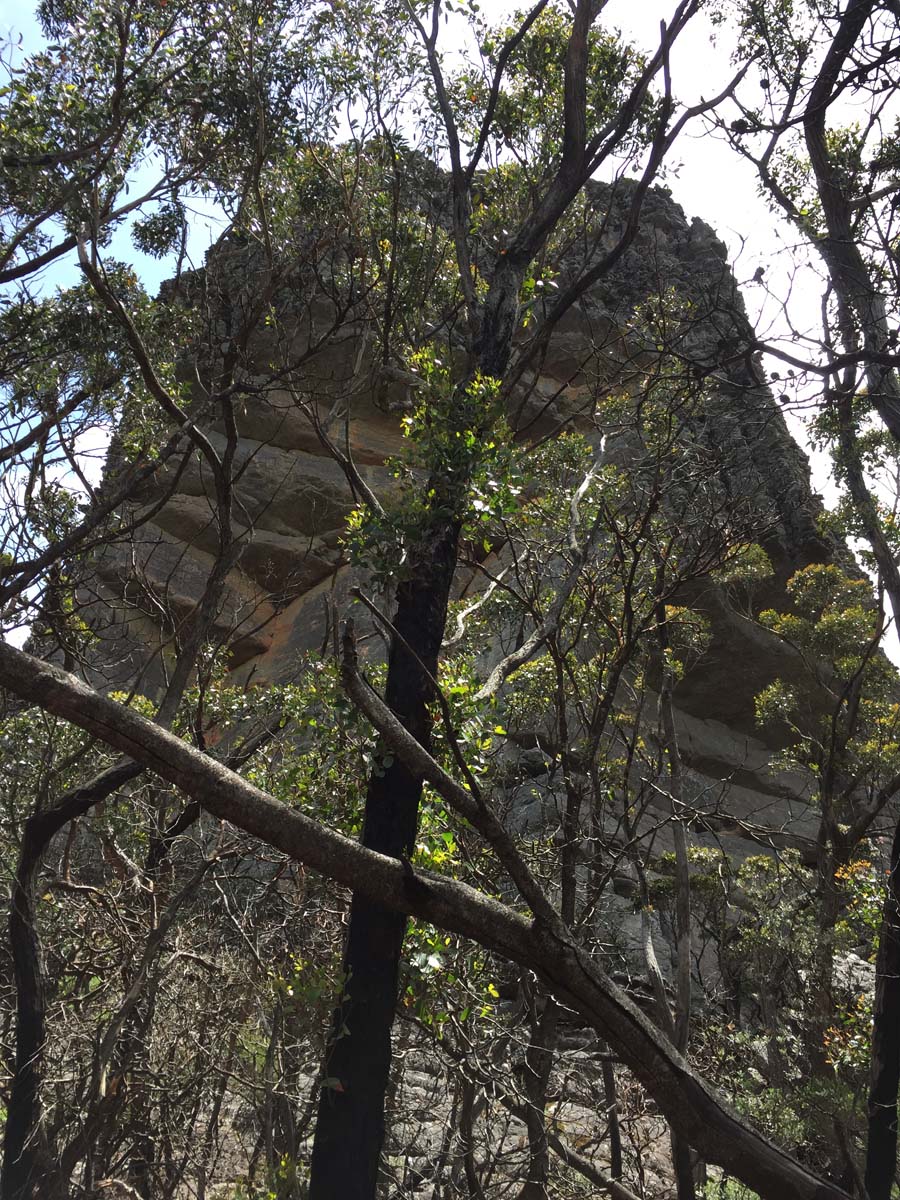 Mount thackeray hike 26