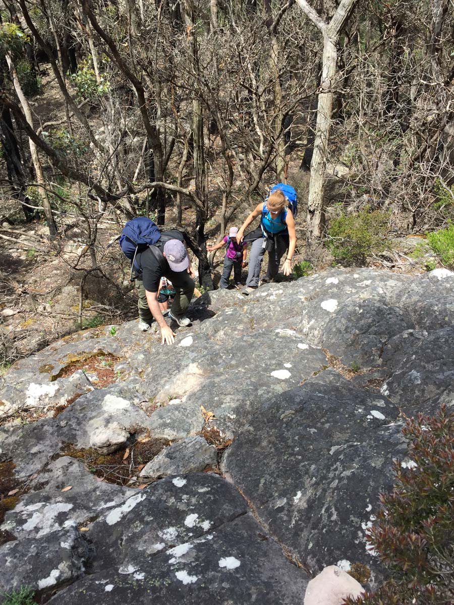 Mount thackeray hike 27