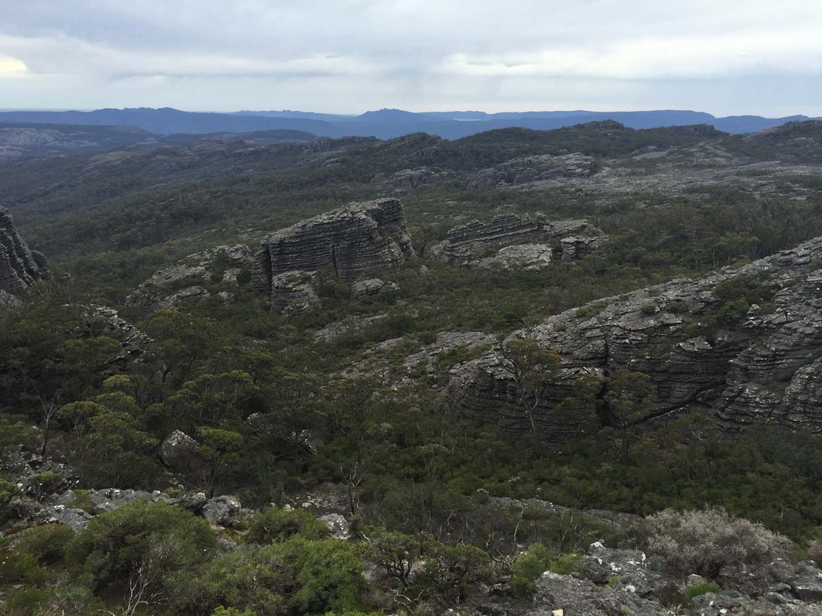 Mount thackeray hike 4