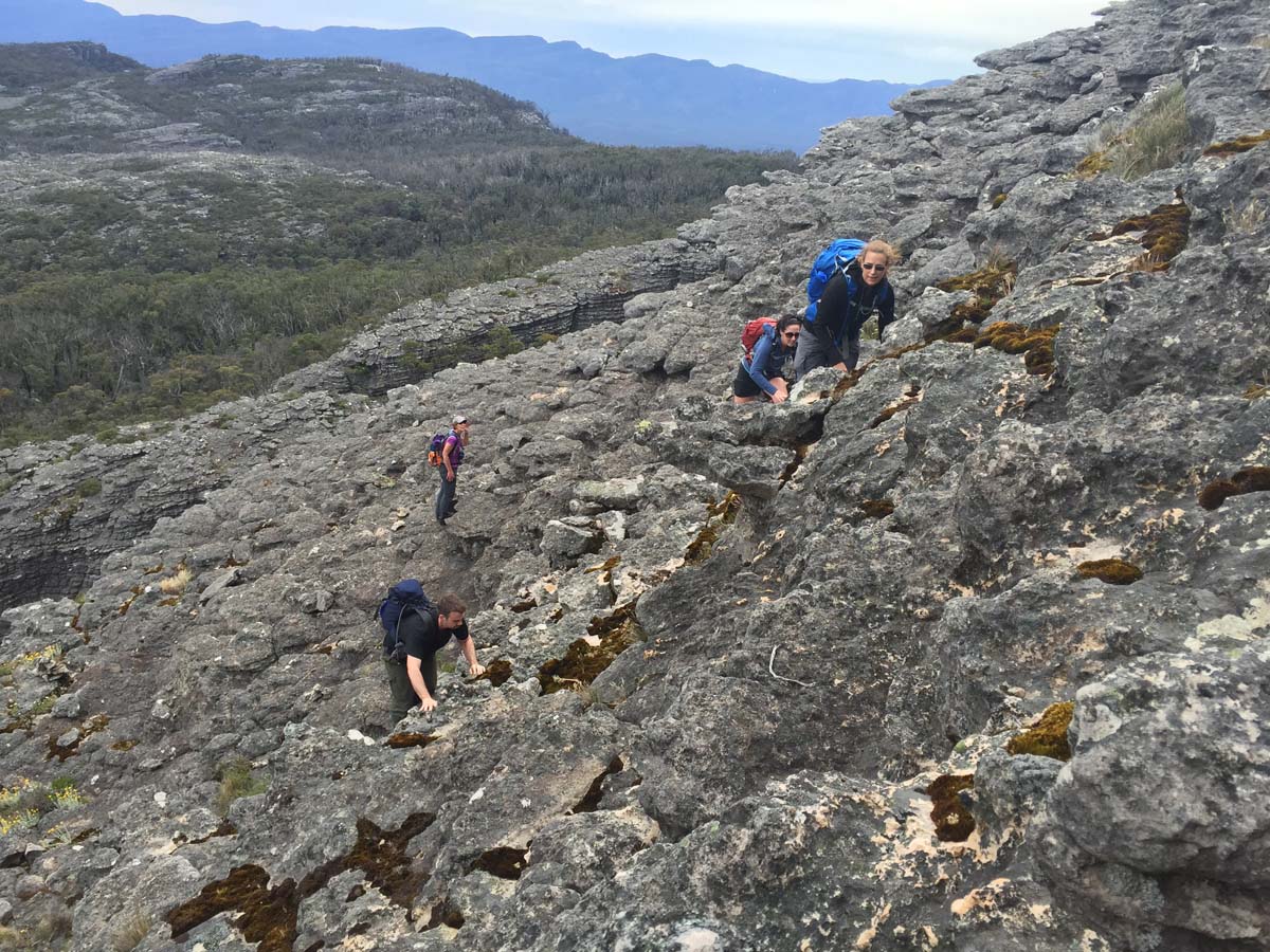 Mount thackeray hike 9