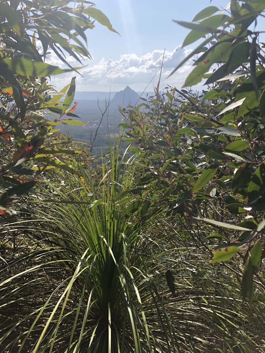 Mount tibrogargan summit walk 11