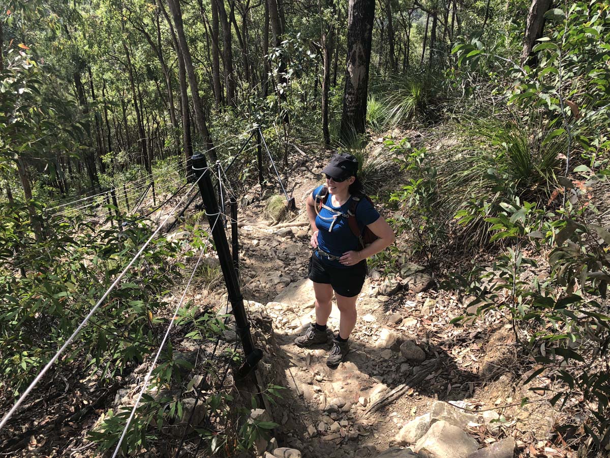 Mount tibrogargan summit walk 21