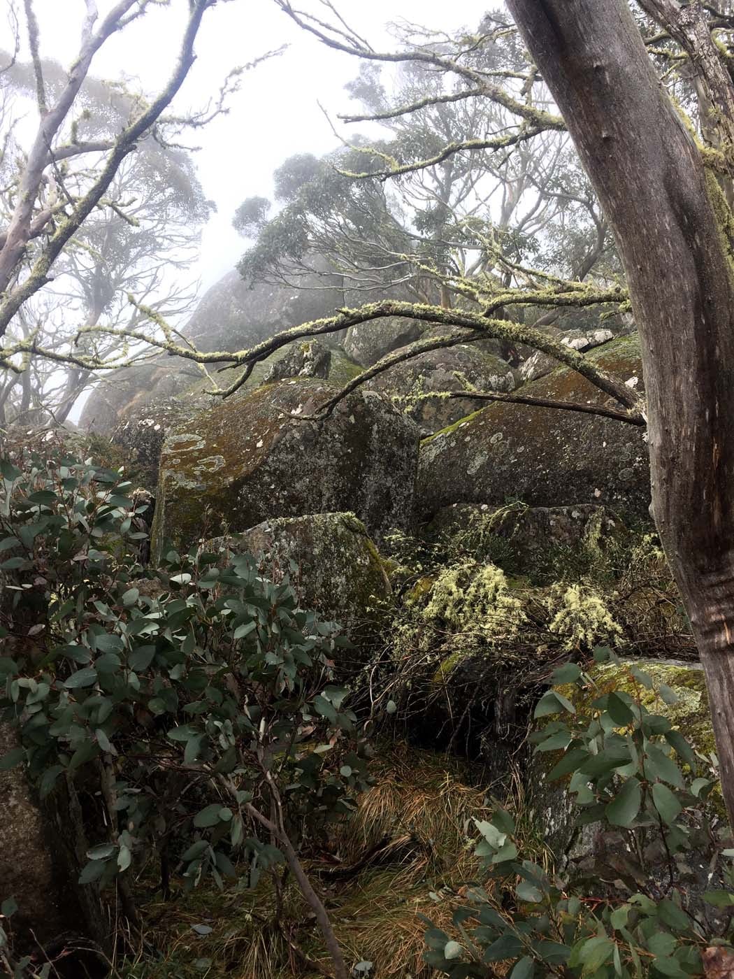 Mount torbreck circuit (22)