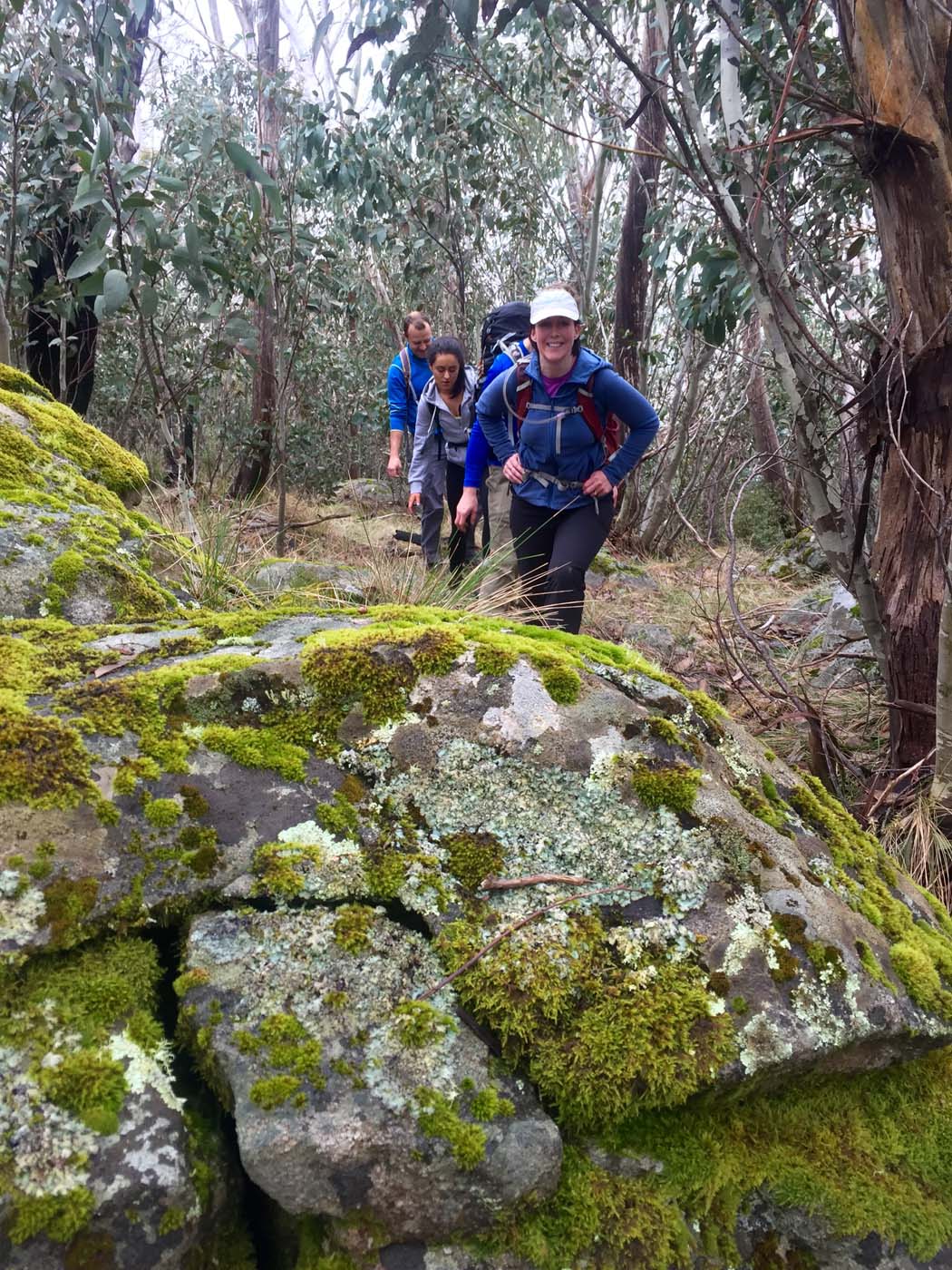 Mount torbreck circuit (27)