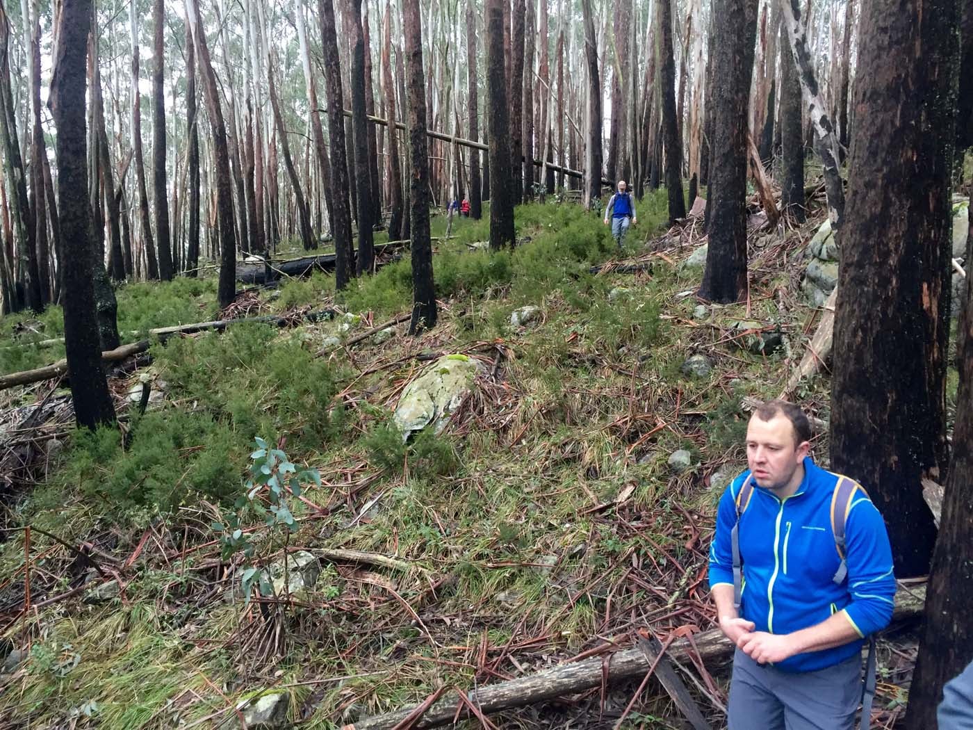 Mount torbreck circuit (29)