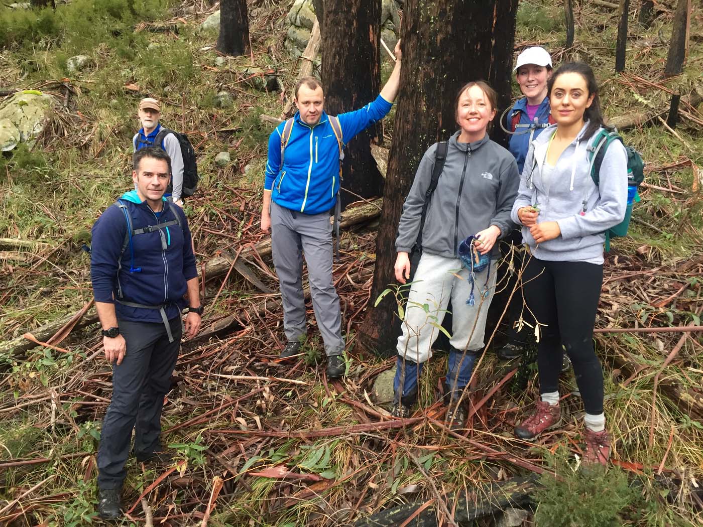 Mount torbreck circuit (30)