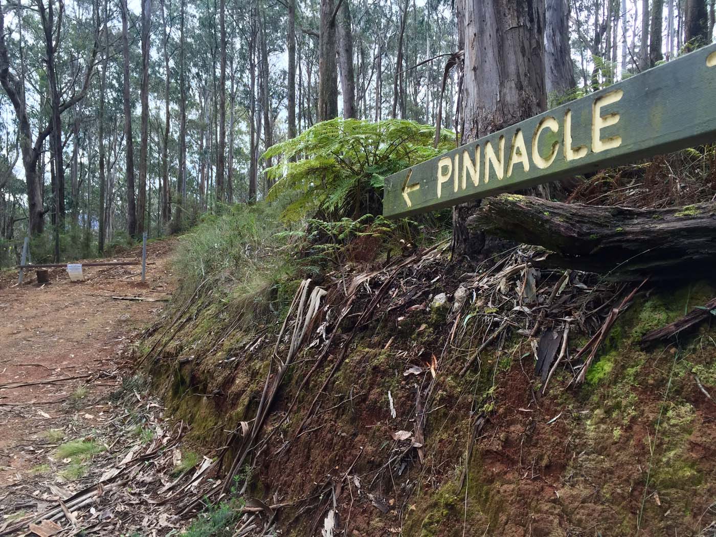 Mount torbreck circuit (34)