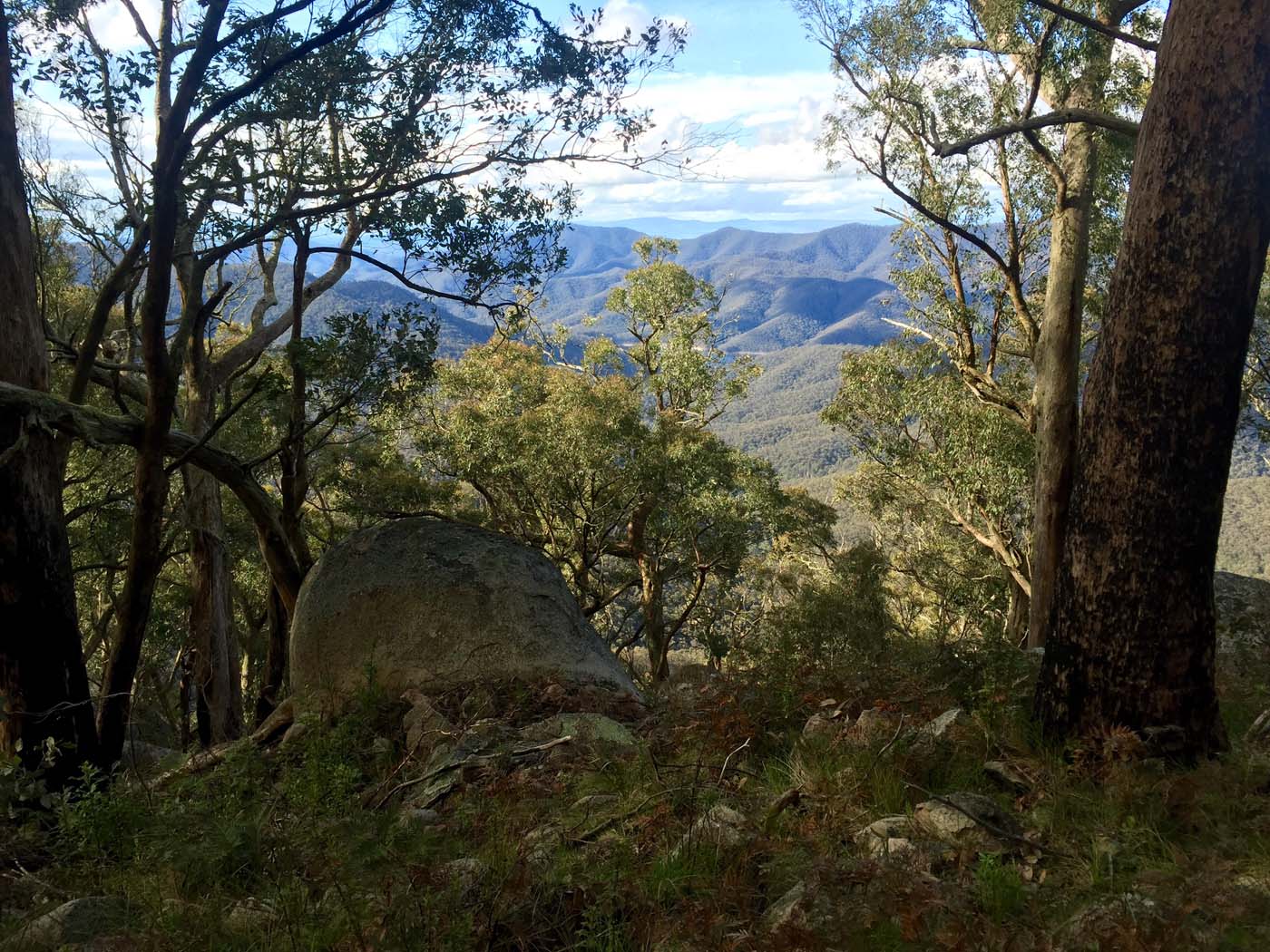 Mount torbreck circuit (39)