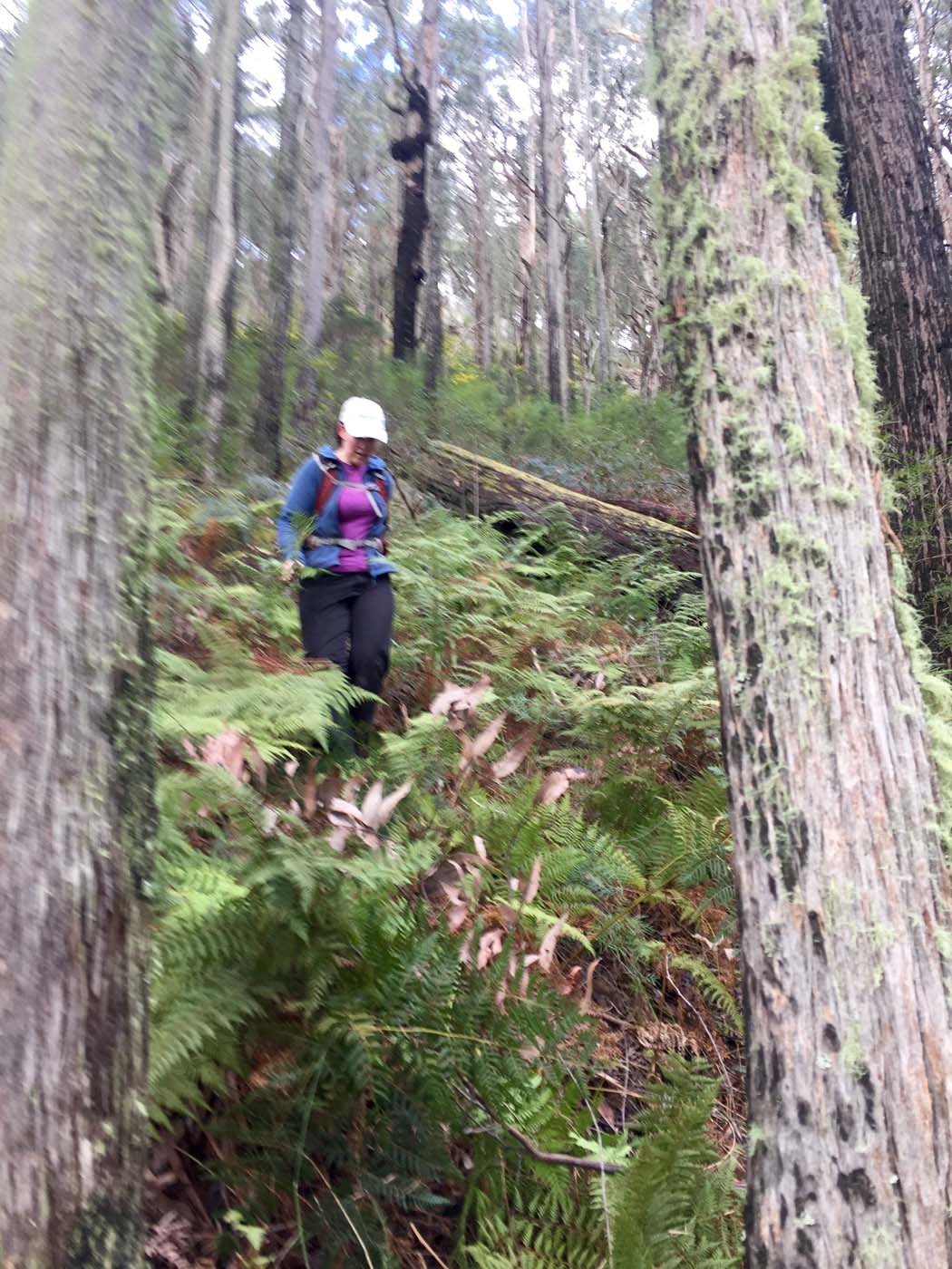 Mount torbreck circuit (52)