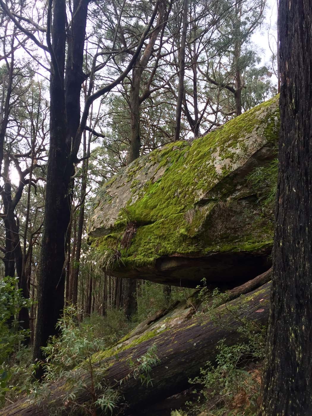 Mount torbreck circuit (53)