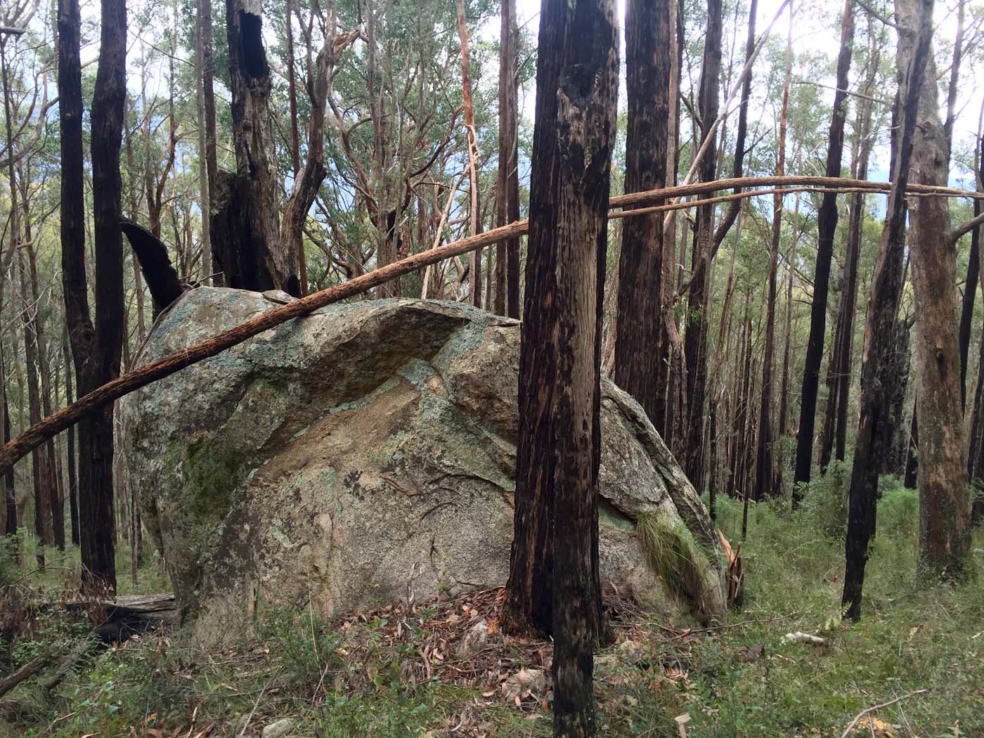 Mount torbreck circuit (54)