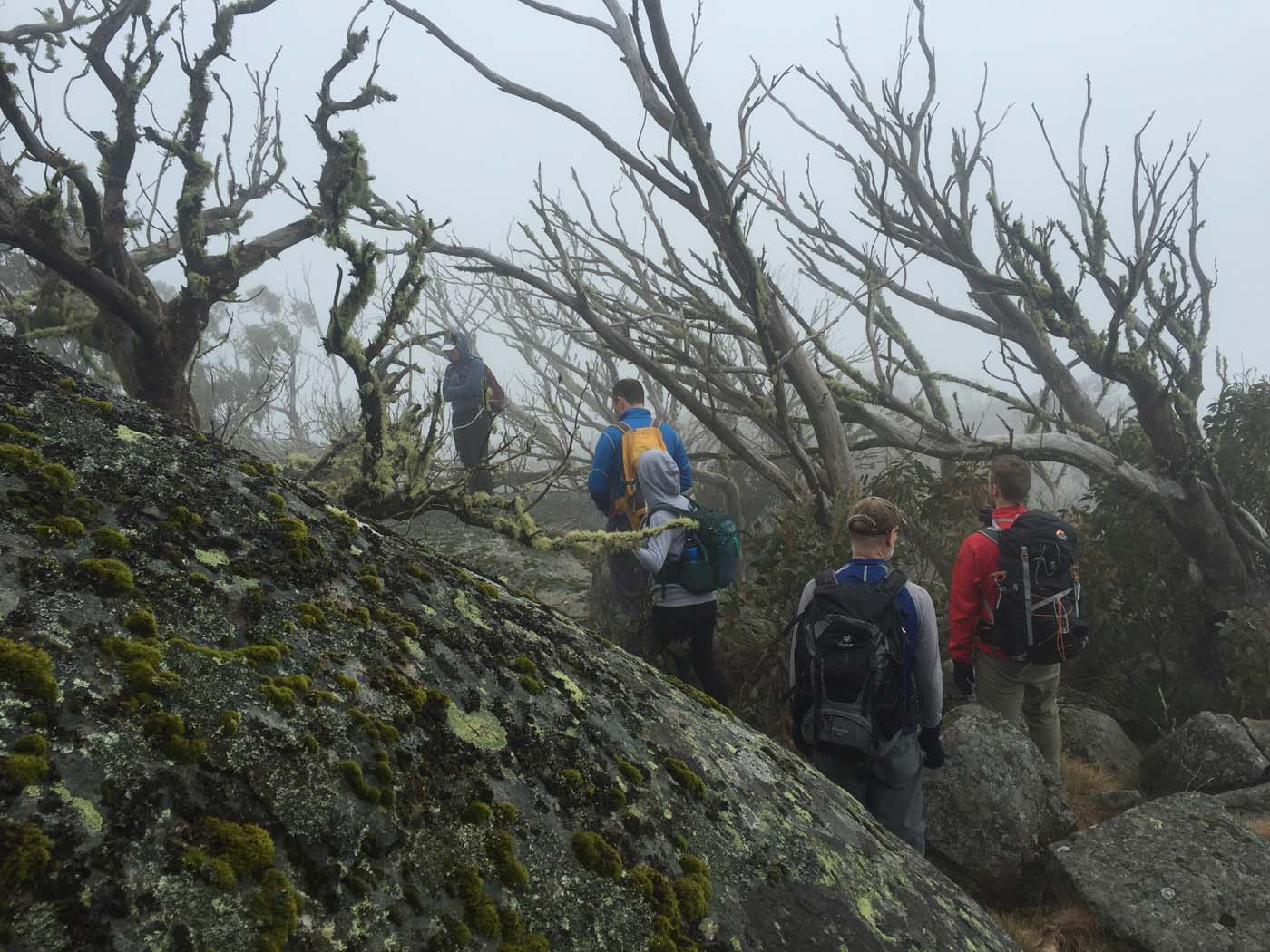 Mount torbreck hike (18)