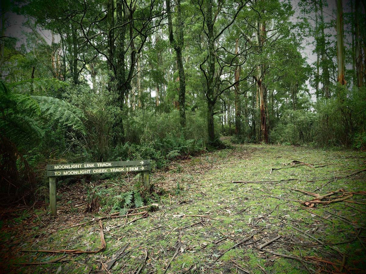 Mount worth gardiners mill walk 5