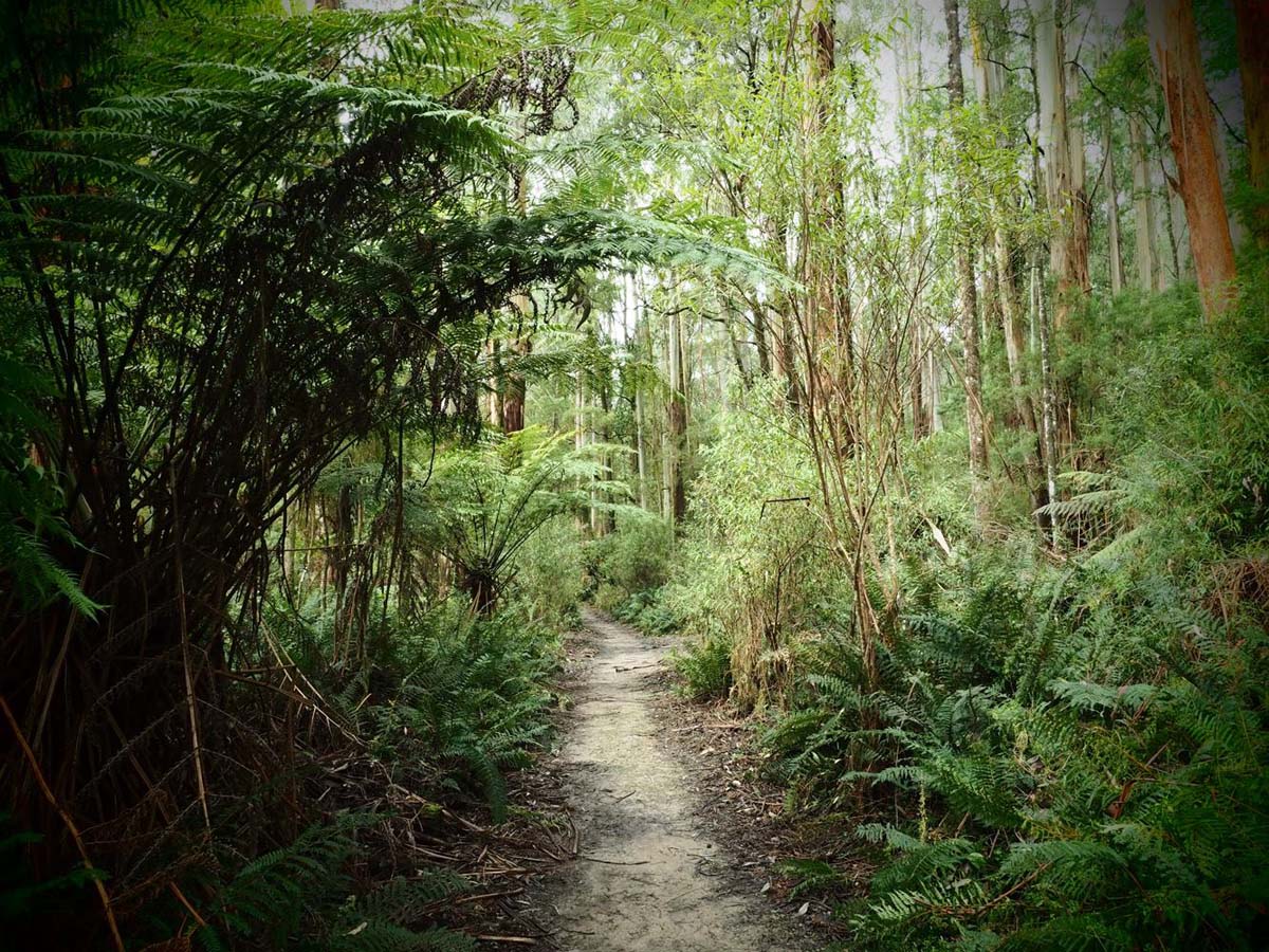 Mount worth gardiners mill walk 8