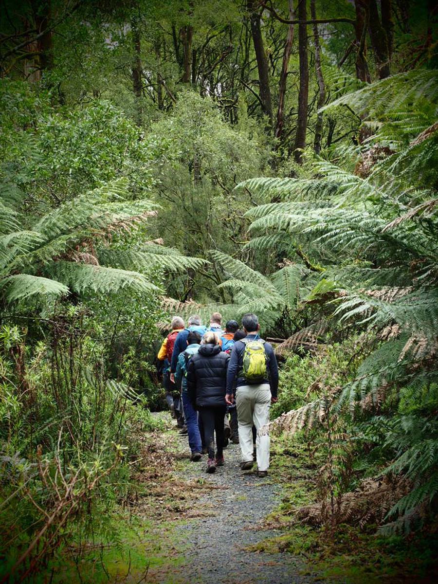 Mount worth giant's circuit walk 1