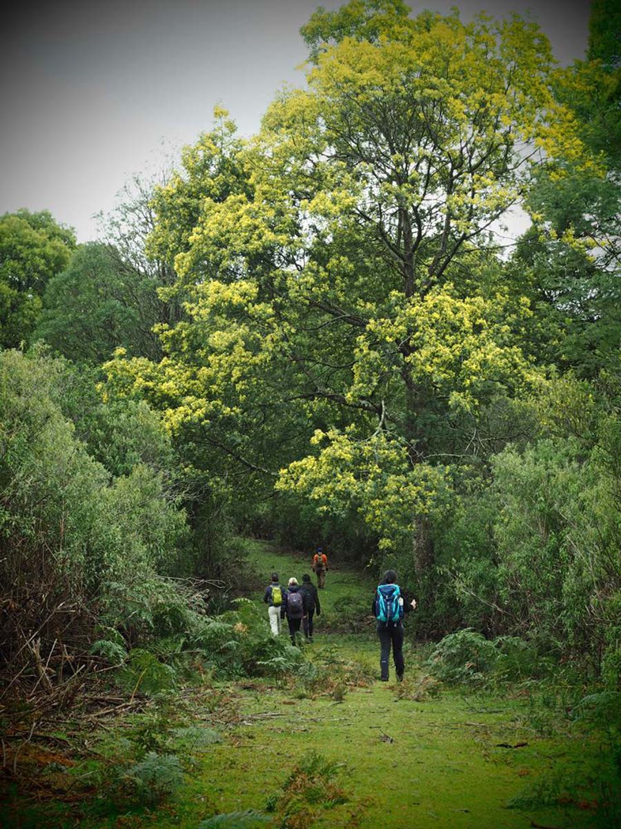 Mount worth giant's circuit walk 2