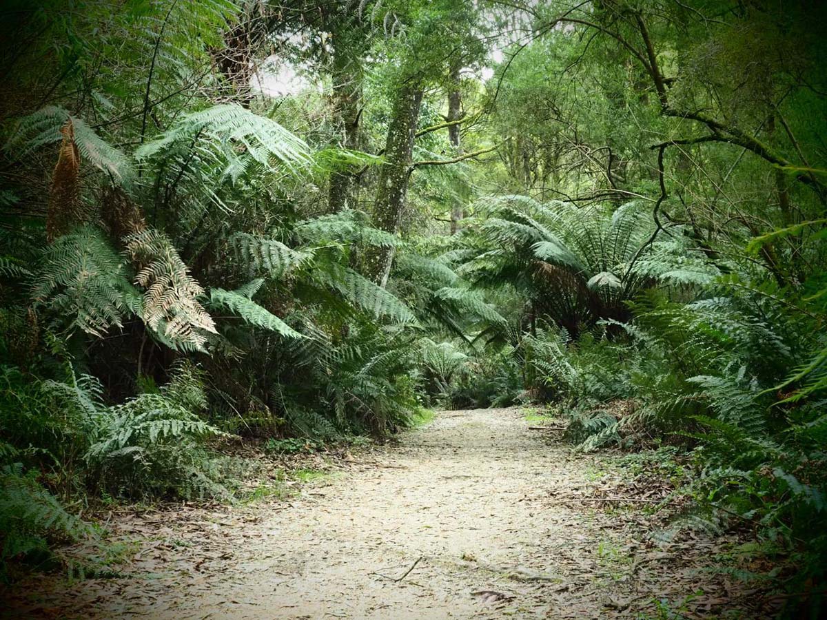 Mount worth giant's circuit walk 4