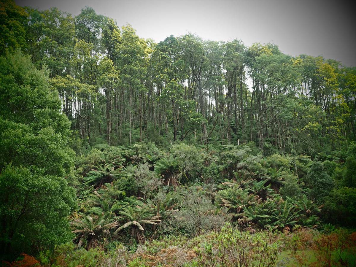 Mount worth giant's circuit walk 5