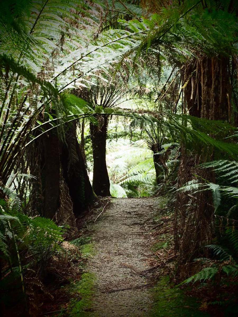 Mount worth giant's circuit walk 6