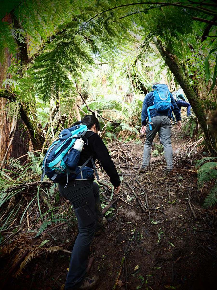 Mount worth moonlight circuit hike 8