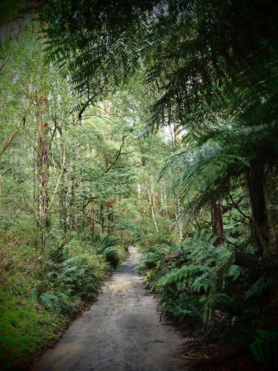 Mount worth waterfall bower circuit hike 2