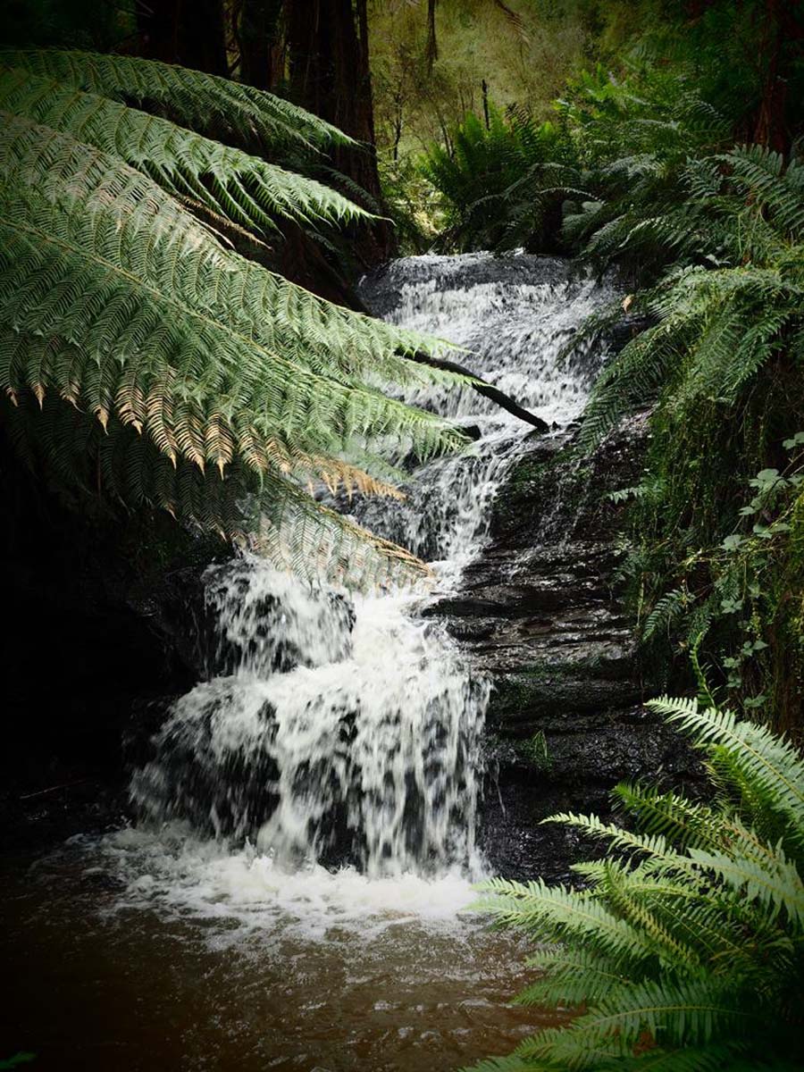 Mount worth waterfall bower circuit hike 6