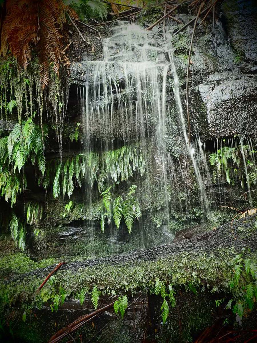 Mount worth waterfall bower circuit hike 7