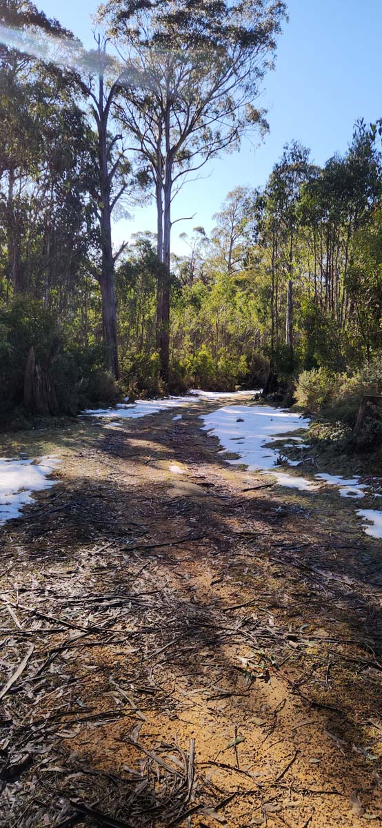 Mt ritchie dugout acheron way circuit 8