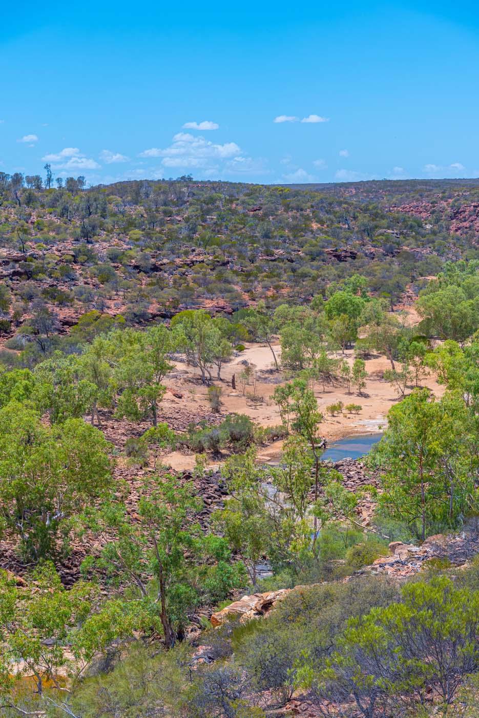 Murchison river loop walk kalbarri (10)