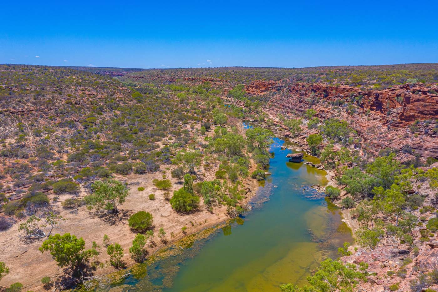 Murchison river loop walk kalbarri (11)