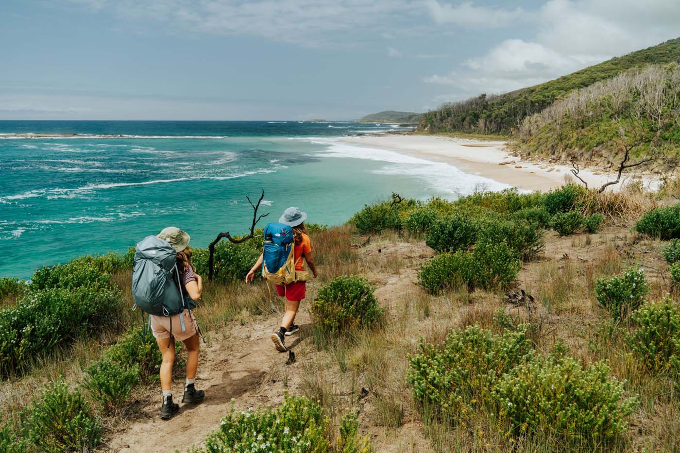 Murramarang south coast walk credit rbrand dcceew (2)