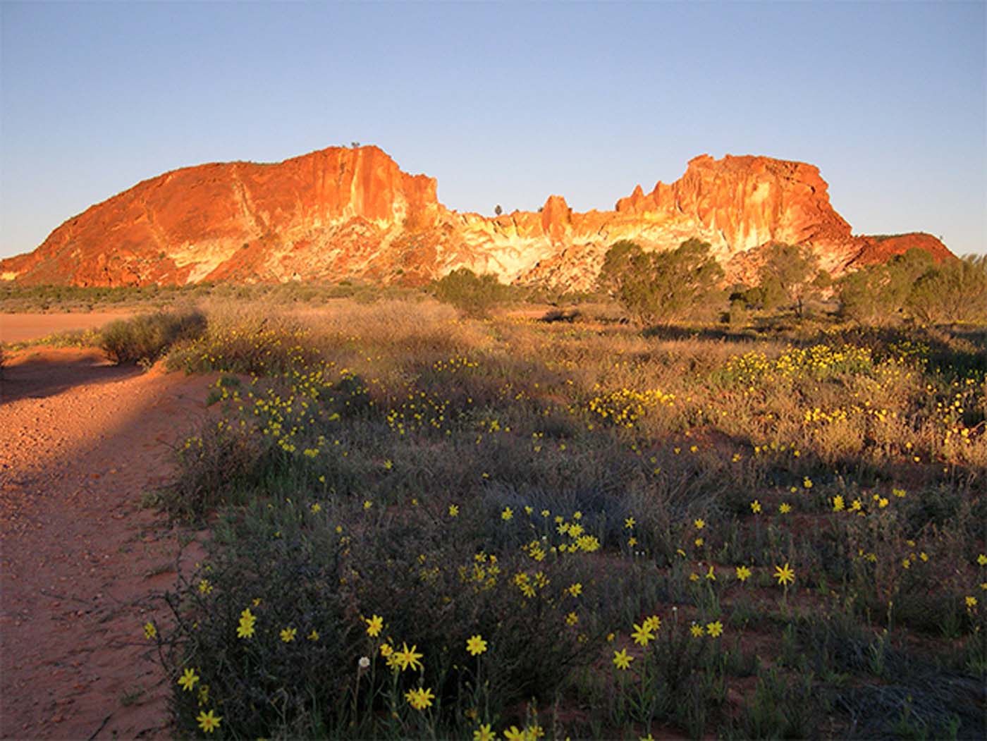 Rainbow valley conservation reserve (9)