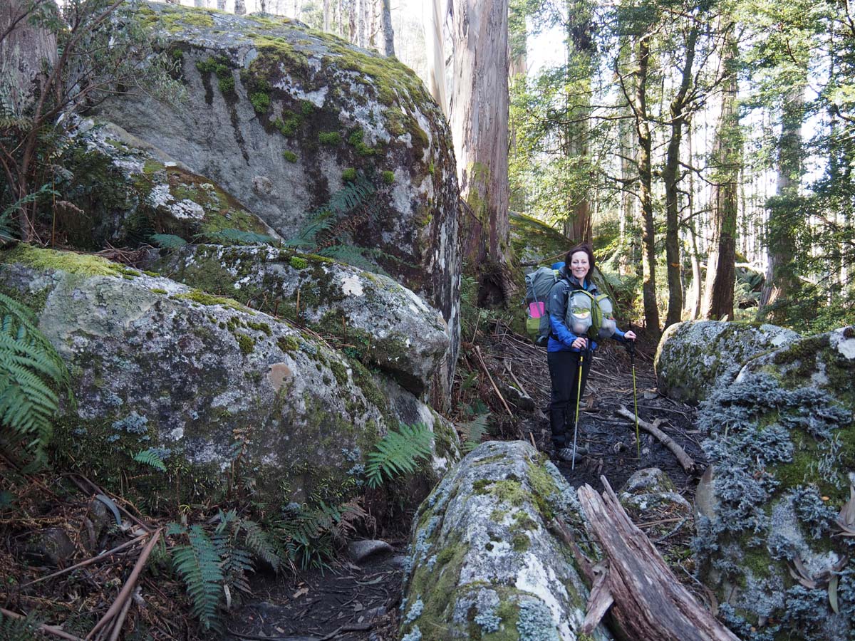 Mushroom rocks walk 2