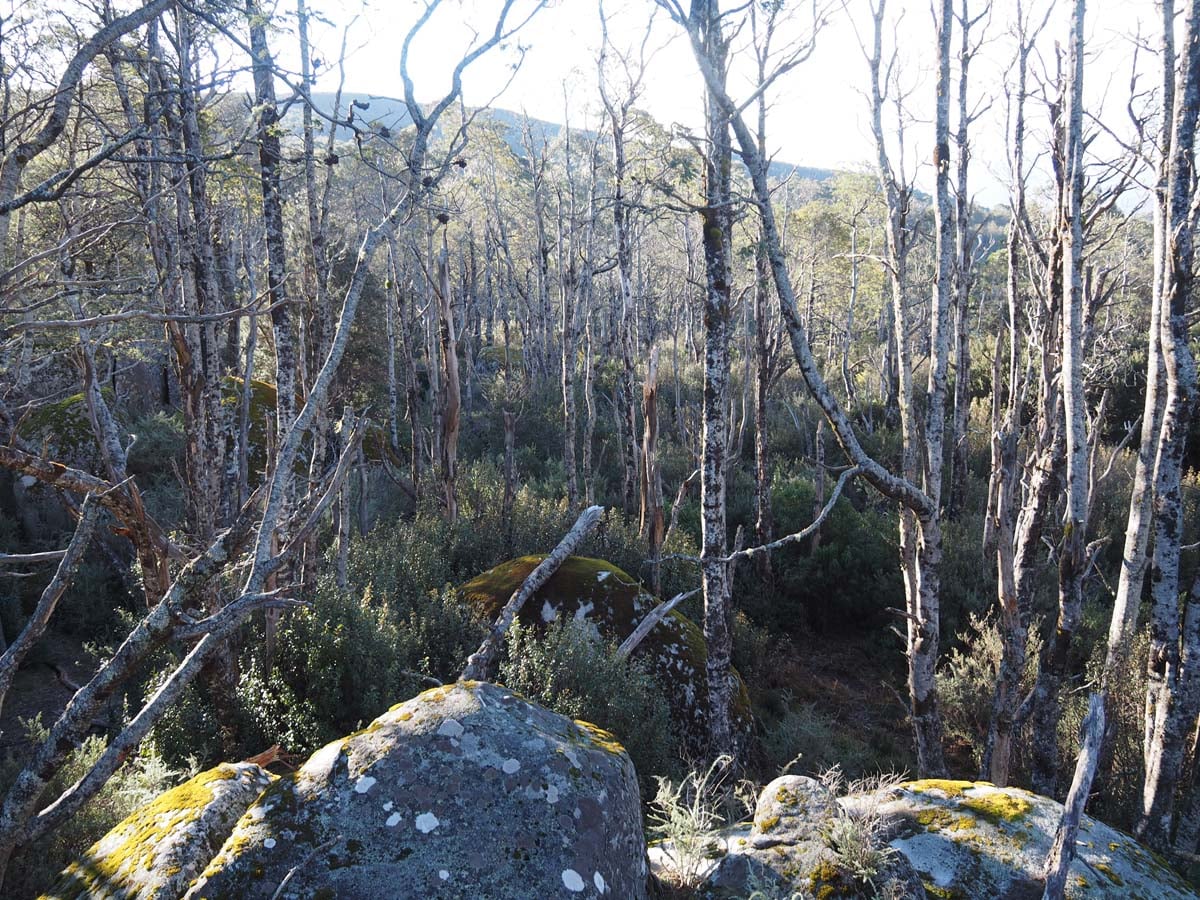 Mushroom rocks walk 22