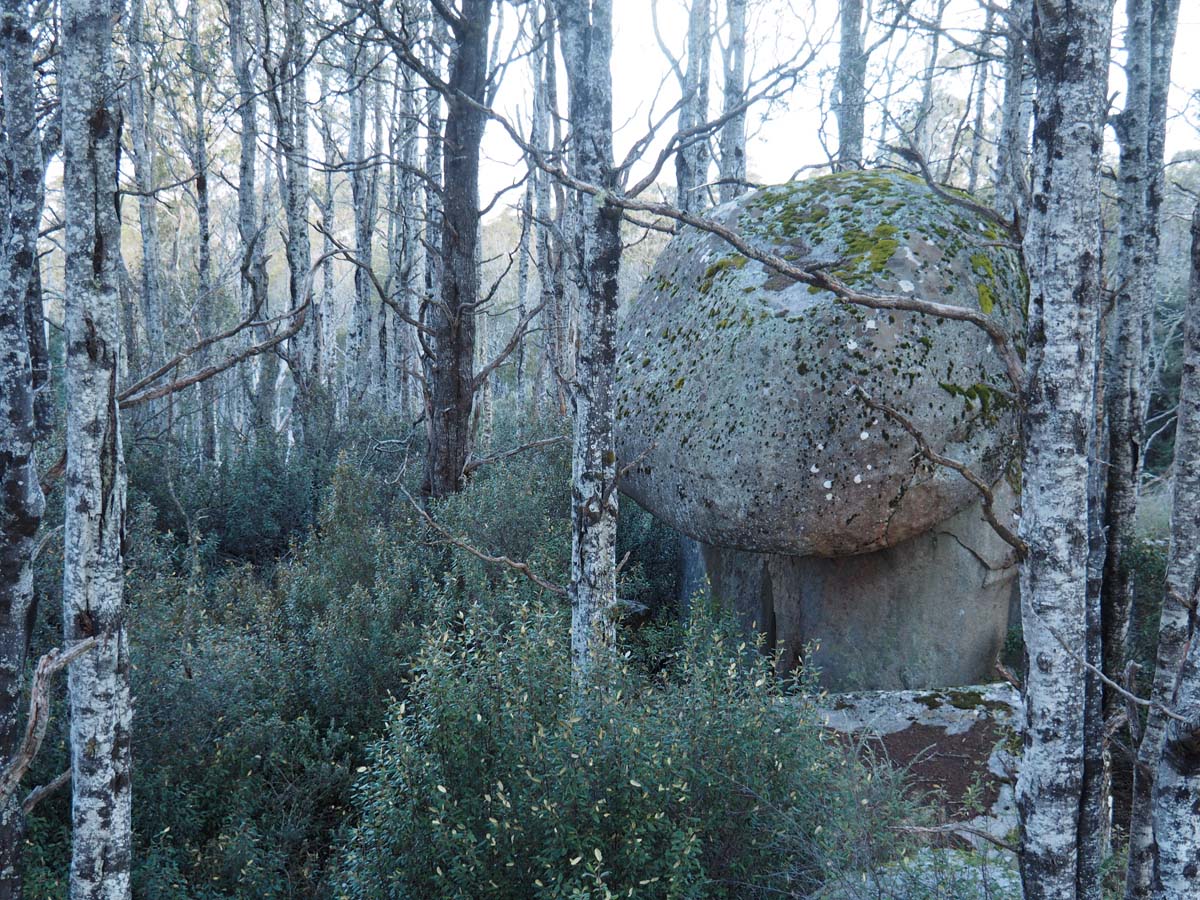 Mushroom rocks walk 23