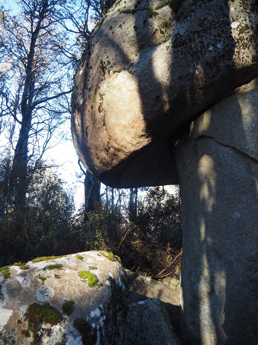 Mushroom rocks walk 25