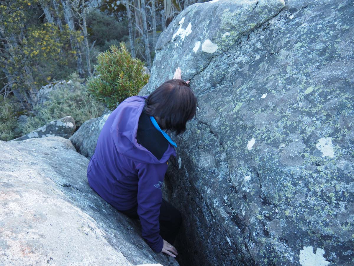 Mushroom rocks walk 29