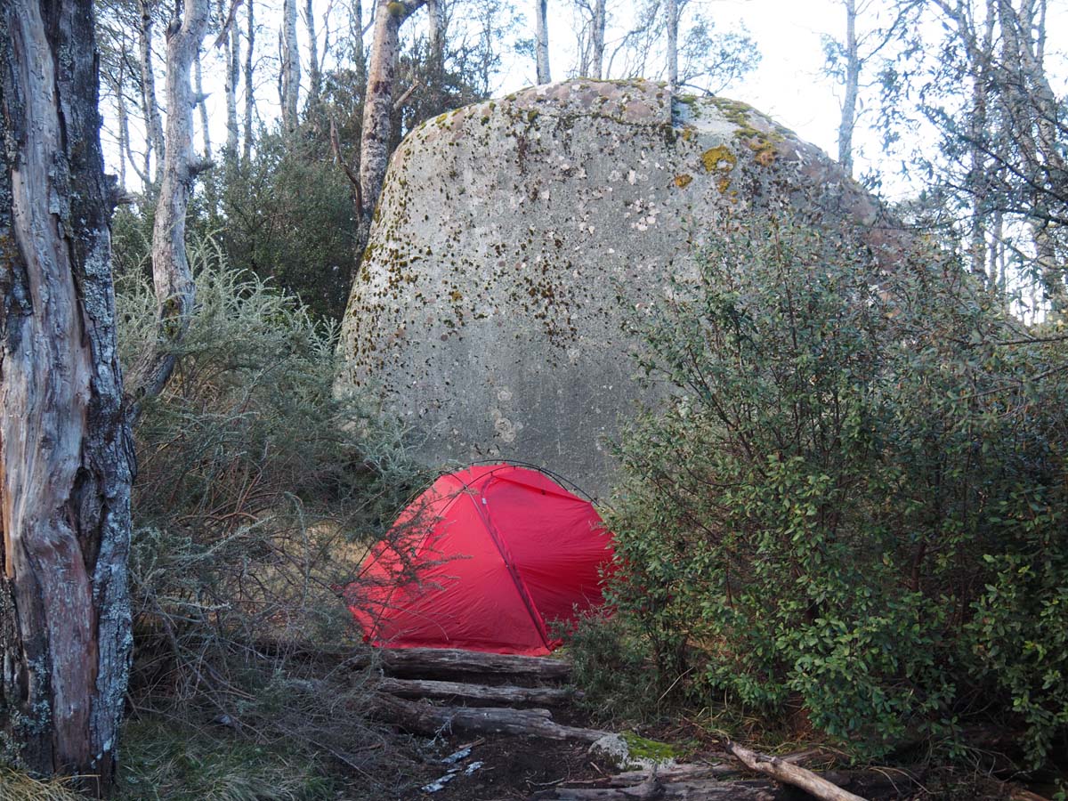 Mushroom rocks walk 38