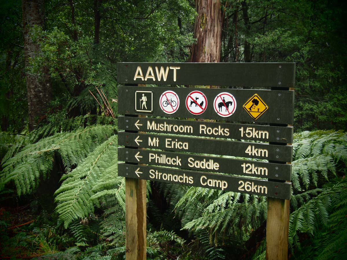 Mushroom rocks walk 46