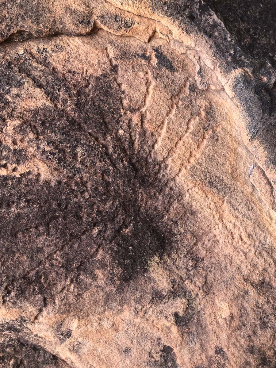 N'dhala gorge walk 11