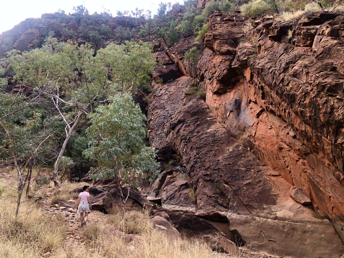 N'dhala gorge walk 14