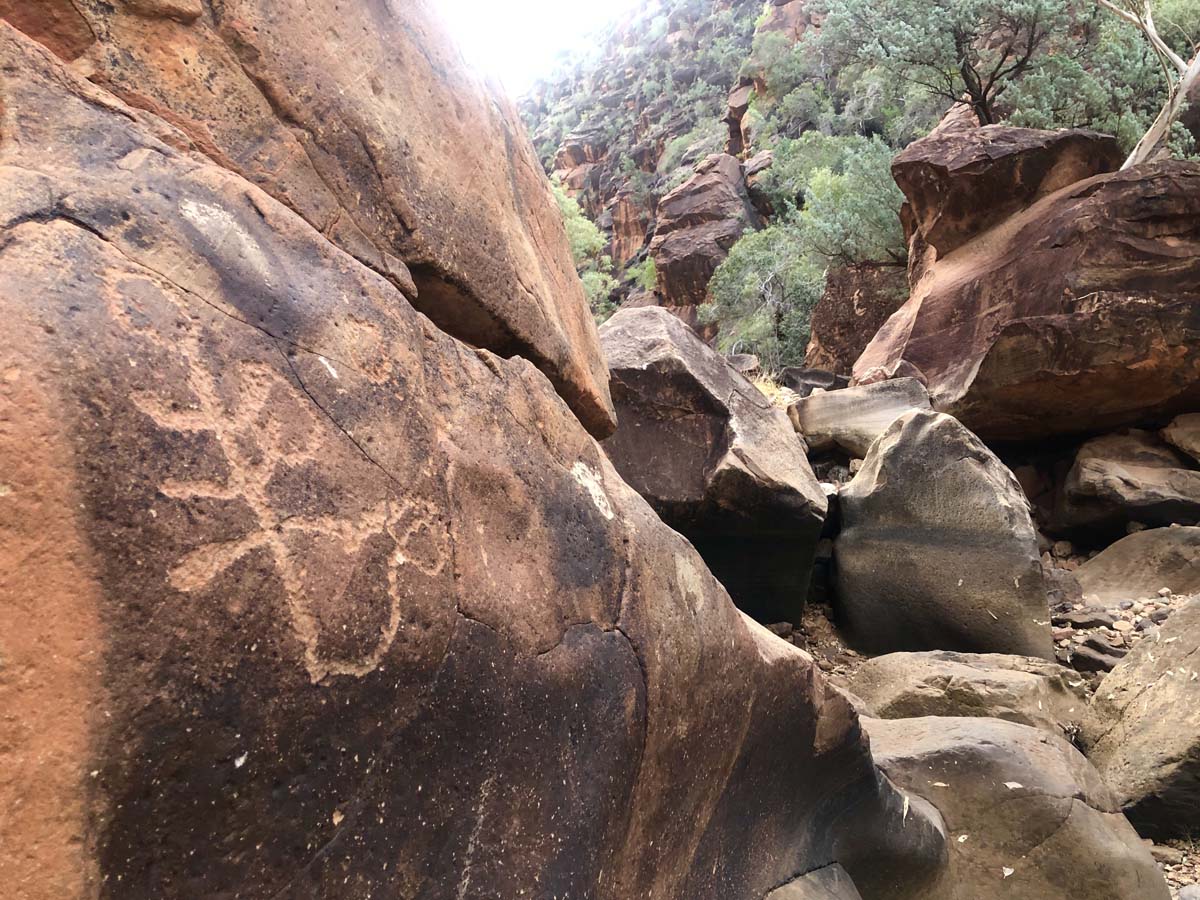 N'dhala gorge walk 15