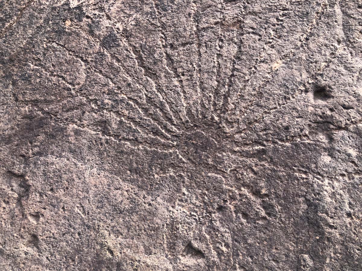 N'dhala gorge walk 18